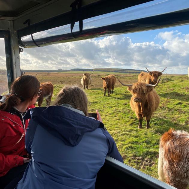 Girls looking out